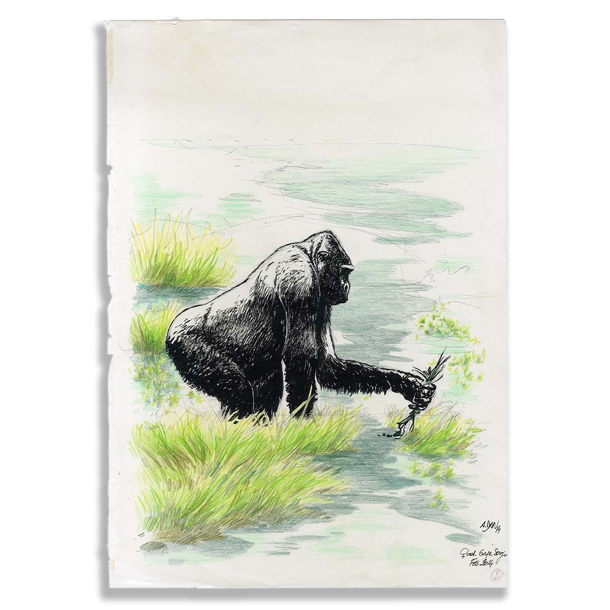 Original Drawing A.Dan, Gorille Seule